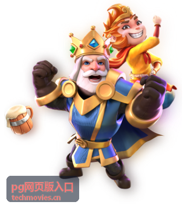 pg网页版入口 画质与字幕说明条目
