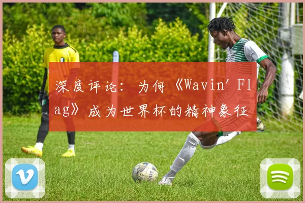深度评论：为何《Wavin' Flag》成为世界杯的精神象征