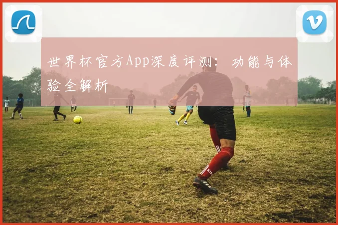 世界杯官方App深度评测：功能与体验全解析