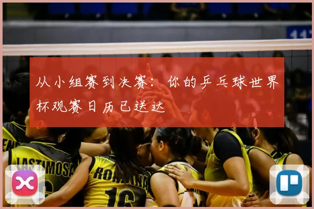 从小组赛到决赛：你的乒乓球世界杯观赛日历已送达