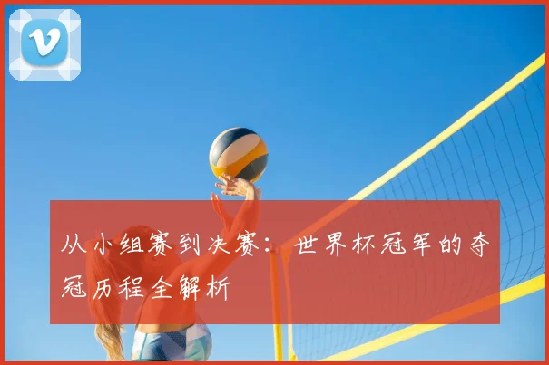 从小组赛到决赛：世界杯冠军的夺冠历程全解析
