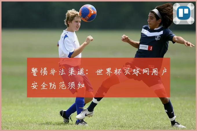 警惕非法渠道：世界杯买球网用户安全防范须知