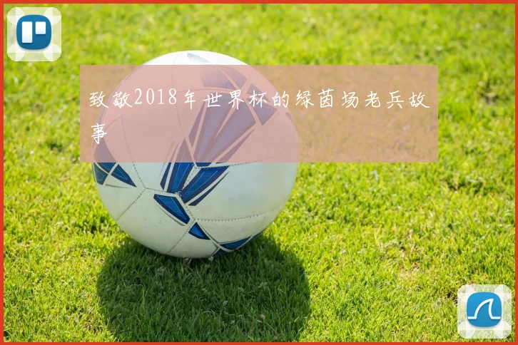 致敬2018年世界杯的绿茵场老兵故事
